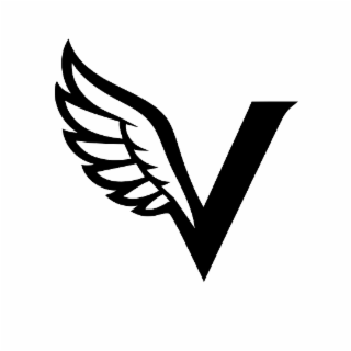 V logo