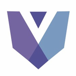 V logo