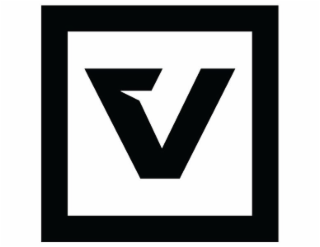 V logo