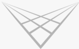 V logo