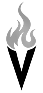V logo