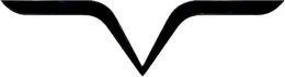 V logo