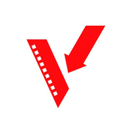 V logo