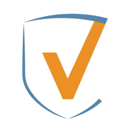 V logo