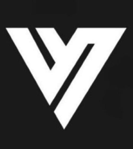 V logo