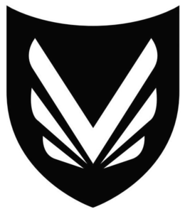 V logo