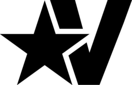 V logo