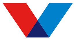 V logo