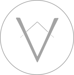 V logo