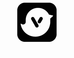 V logo