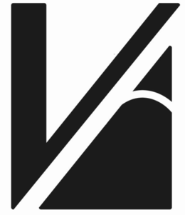 V logo