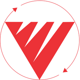 V logo