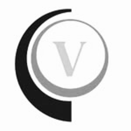 V logo