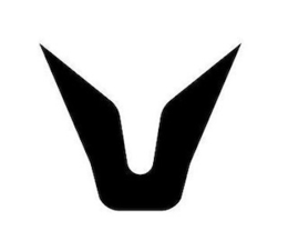 V logo