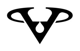 V logo