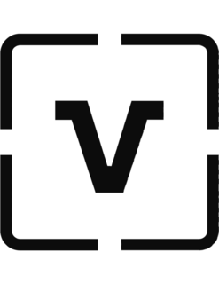V logo