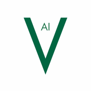 V AI logo