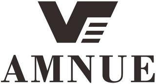 V AMNUE logo