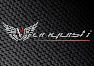 V ANQUISH logo