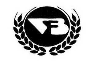 V B logo