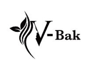 V-BAK logo