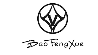 V BAOFENGXUE logo