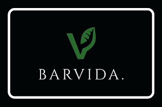 V BARVIDA. logo