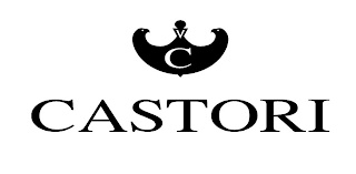 V C CASTORI logo