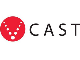 V CAST logo