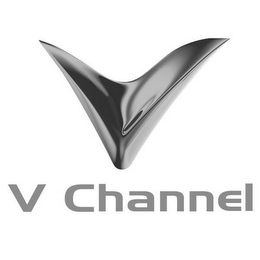 V CHANNEL logo