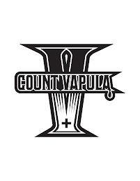 V COUNT VAPULA logo