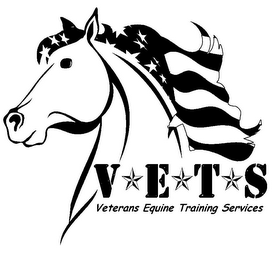 V E T S VETERANS EQUINE TRAINING SERVICES logo
