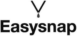 V EASYSNAP logo