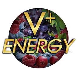V+ ENERGY logo