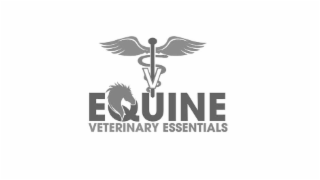 V EQUINE VETERINARY ESSENTIALS logo