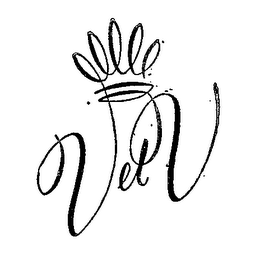 V ET V logo