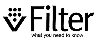V FILTER WHAT YOU NEED TO KNOW logo