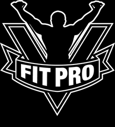 V FIT PRO logo