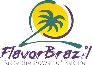 V FLAVORBRAZIL TASTE THE POWER OF NATURE logo