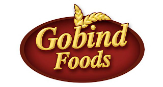 V GOBIND FOODS logo