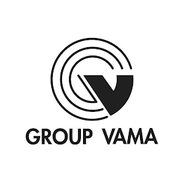 V GROUP VAMA logo