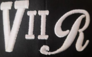 V I I R logo