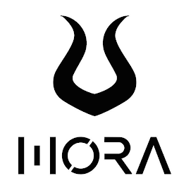 V IORA logo