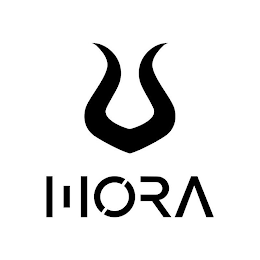 V IORA logo