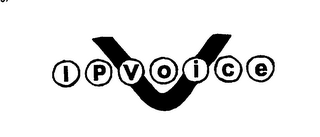 V IPVOICE logo