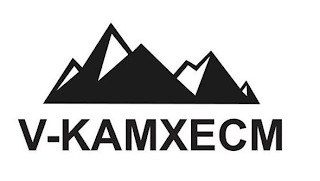 V-KAMXECM logo