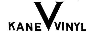 V KANE VINYL logo