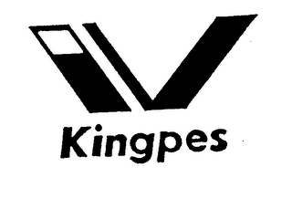 V KINGPES logo