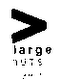 V LARGE NUTS logo