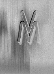 V M logo